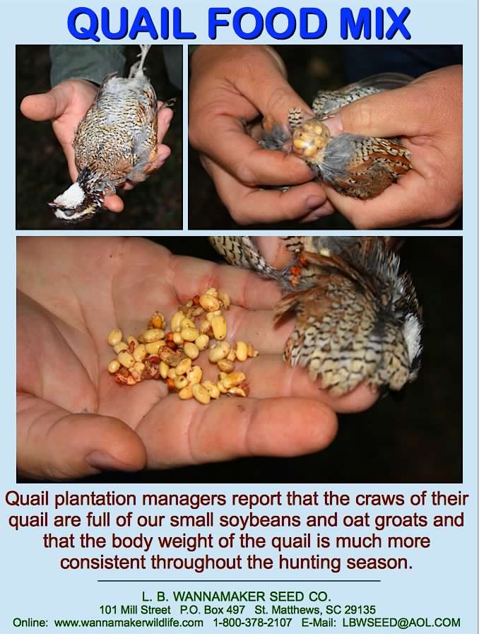 Quail Food ad.