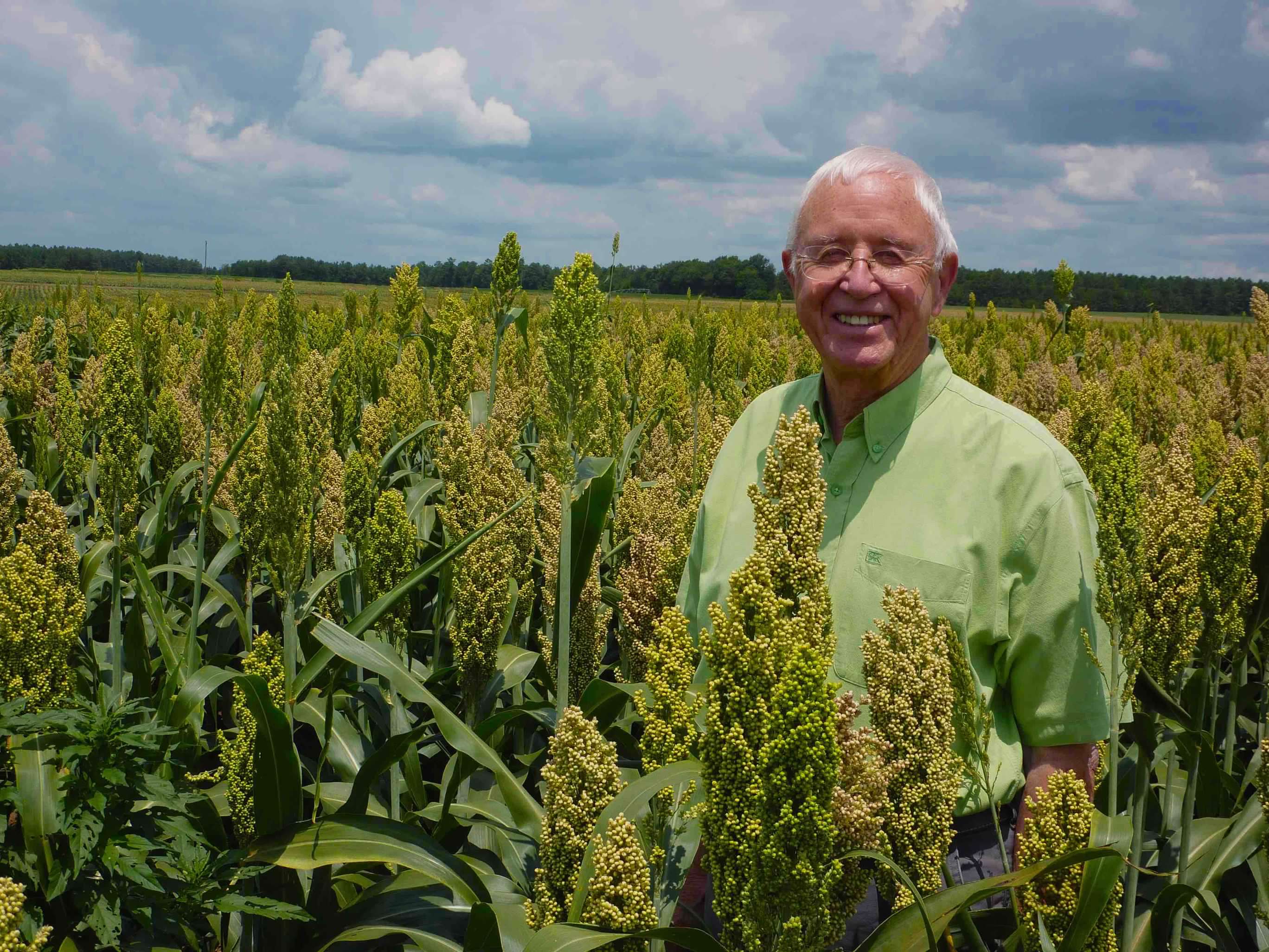 Mr. Wannamaker in a field of sorghum.